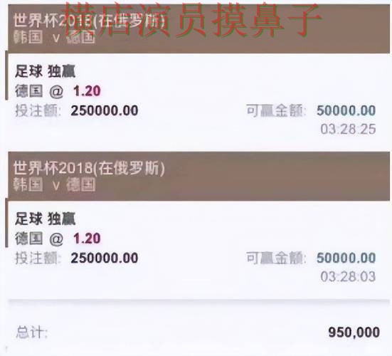 世界杯投注平台盘点分析报告:访问方式与实际体验总结 - 世界杯数据 世界杯投注平台盘点分析报告:访问方式与实际体验总结 - 世界杯数据