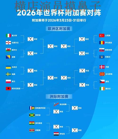 世界杯投注入口汇总报告：数据分析与实际体验总结 - 2026世界杯